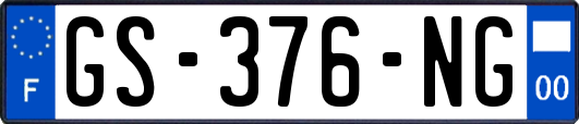 GS-376-NG