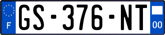 GS-376-NT