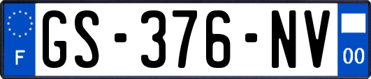 GS-376-NV