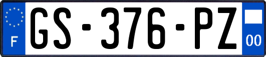 GS-376-PZ