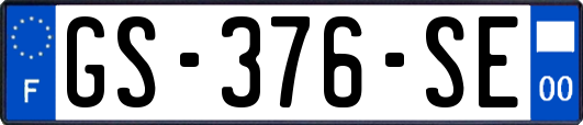 GS-376-SE