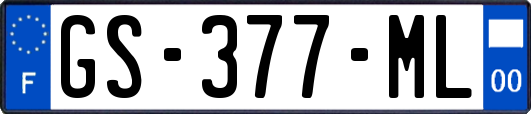 GS-377-ML