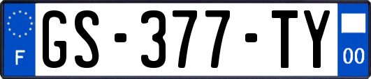GS-377-TY