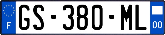 GS-380-ML