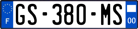 GS-380-MS