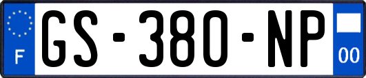 GS-380-NP