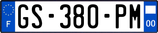 GS-380-PM