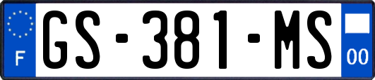 GS-381-MS