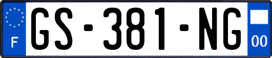 GS-381-NG