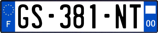 GS-381-NT