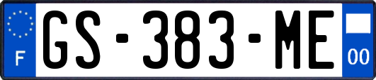 GS-383-ME