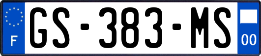 GS-383-MS