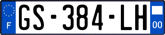 GS-384-LH