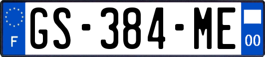 GS-384-ME