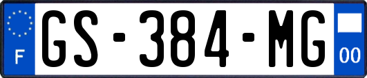 GS-384-MG