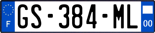 GS-384-ML