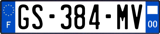 GS-384-MV