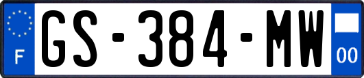 GS-384-MW