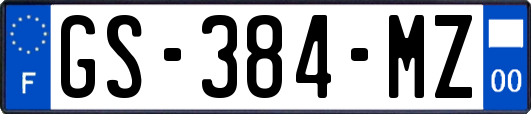 GS-384-MZ