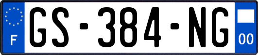 GS-384-NG