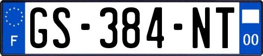 GS-384-NT