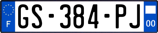 GS-384-PJ
