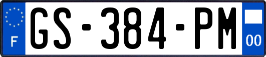 GS-384-PM