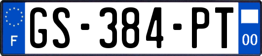 GS-384-PT