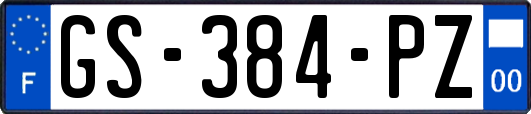 GS-384-PZ