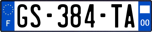 GS-384-TA