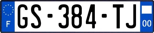 GS-384-TJ