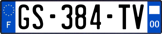 GS-384-TV