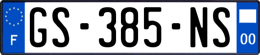 GS-385-NS