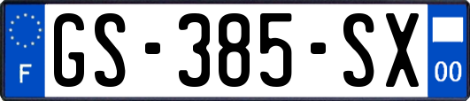 GS-385-SX