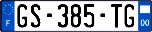GS-385-TG