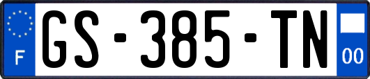 GS-385-TN