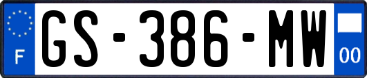 GS-386-MW