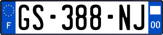 GS-388-NJ
