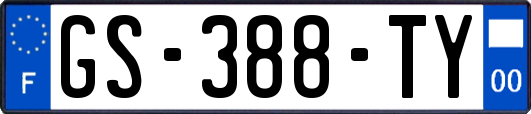 GS-388-TY
