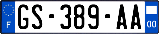 GS-389-AA