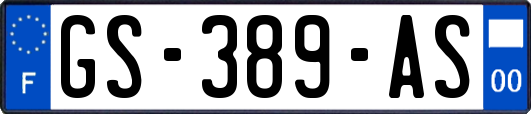GS-389-AS