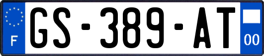 GS-389-AT