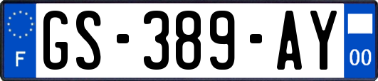 GS-389-AY