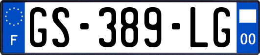 GS-389-LG