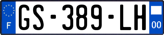 GS-389-LH