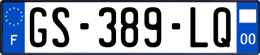GS-389-LQ