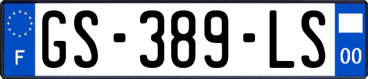 GS-389-LS