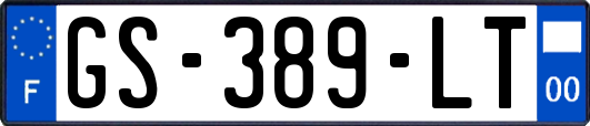 GS-389-LT