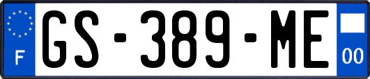 GS-389-ME