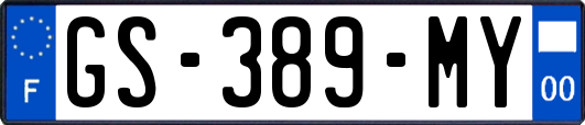 GS-389-MY